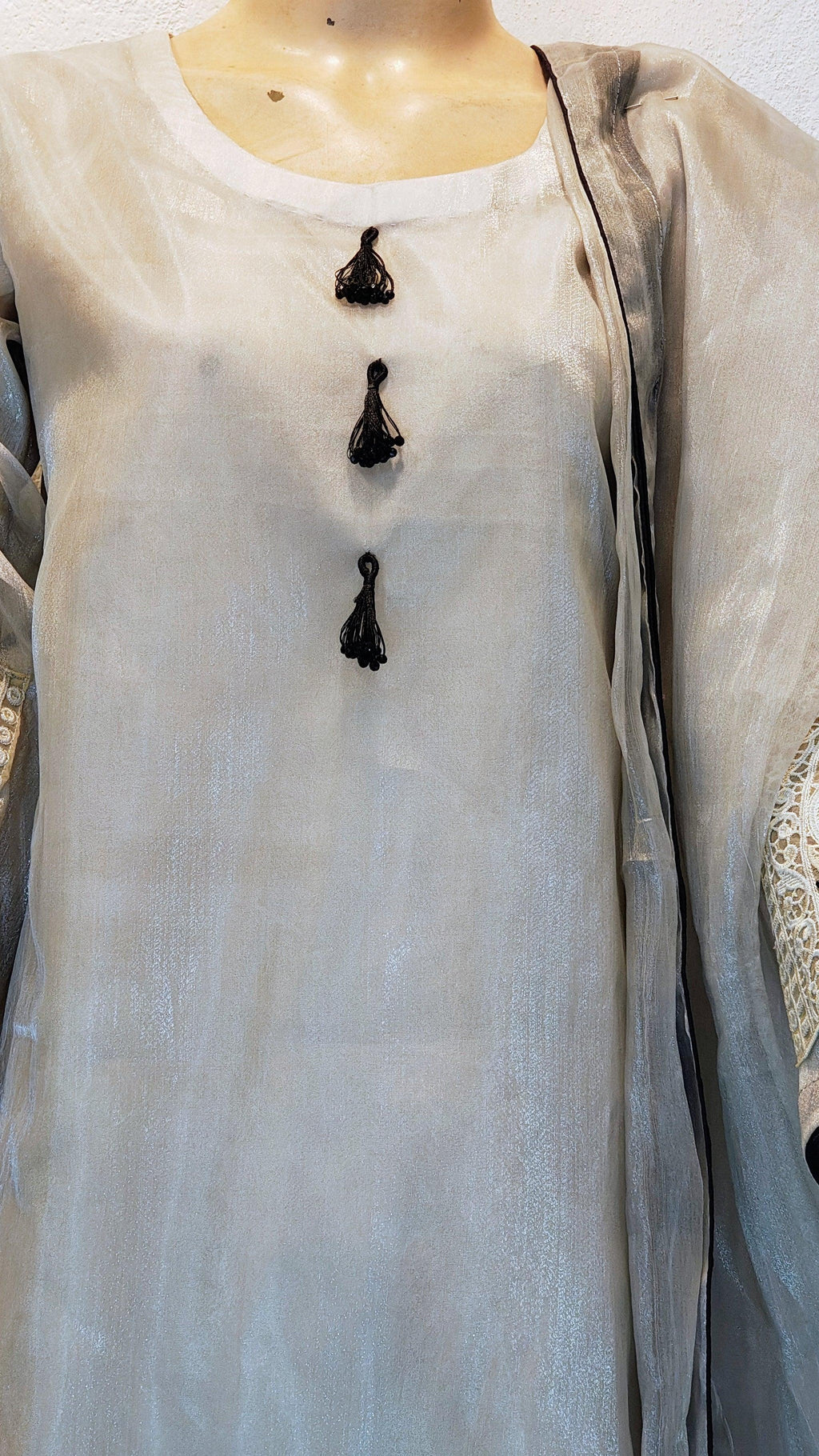 Silver-Grey Shimmer Organza 3-Piece Suit with Geometric Border & Lace Sleeves